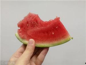 吃瓜粉可以,网络时代的娱乐追星现象解析