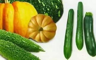 姥爷吃瓜,回味无穷的乡村夏日