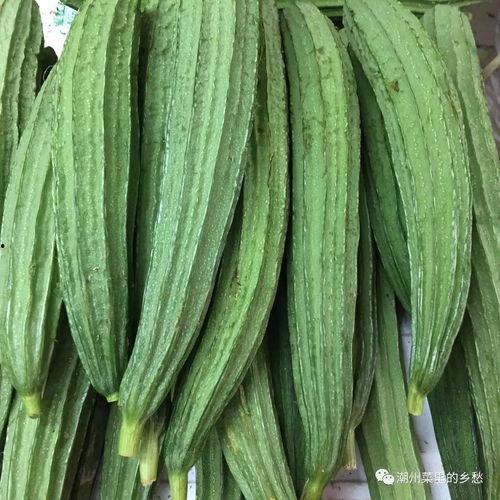 角瓜不用刮皮吃,无需刮皮，美味尽享