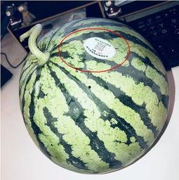 南通网红在线吃瓜,揭秘网络热点背后的故事