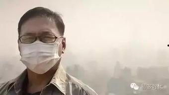 吃瓜也要戴口罩,吃瓜也要戴口罩，共筑防疫防线