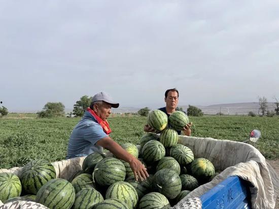 隆尧吃瓜,一场别开生面的夏日盛宴