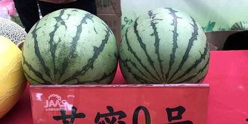 narisu吃瓜,揭秘娱乐圈背后的秘密与八卦