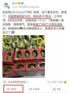 吃瓜盒子2集,揭秘娱乐圈背后的秘密与真相