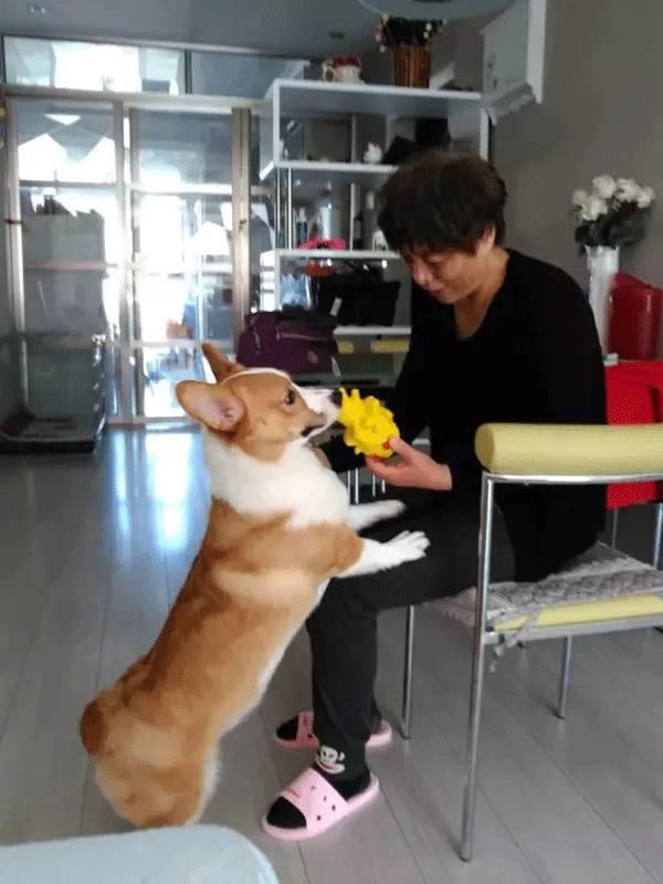 吃瓜张阿姨,揭秘娱乐圈背后的故事