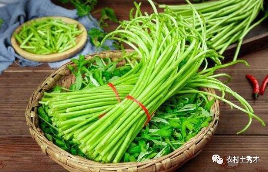 梦见蒿瓜怎么吃