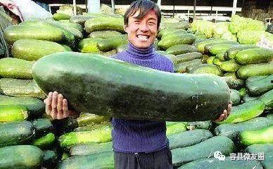 吃瓜人体,网络时代的围观文化现象